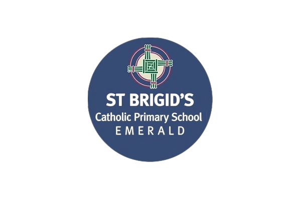 Logo Partners School St Brigids